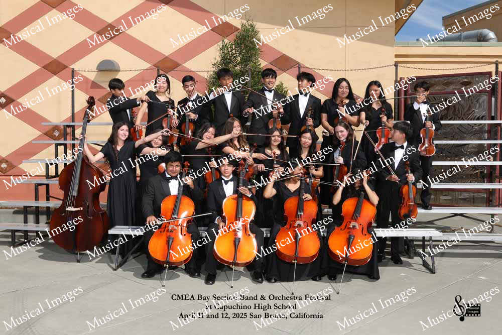 Musical Images